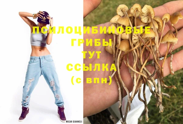 крисы Армянск