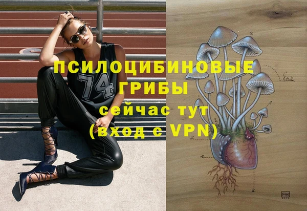 крисы Армянск